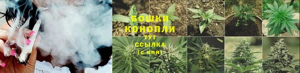 гашик Нея