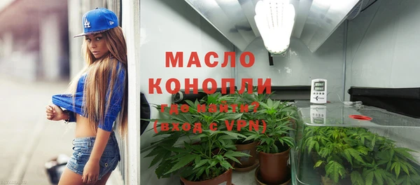 гашик Нея