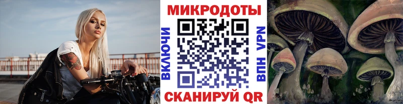 Купить где  Киселёвск  Псилоцибиновые грибы Magic Shrooms 